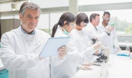 （一）电子信息—国家重点支持的高新技术领域