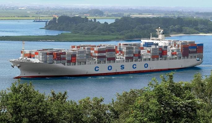 2023年起取消对外贸易经营备案