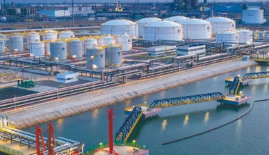 天津市2022年度绿色发展“领跑者”企业