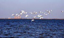 《天津市危险化学品企业安全治理规定》9月1日起施行