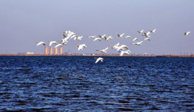 《天津市危险化学品企业安全治理规定》9月1日起施行