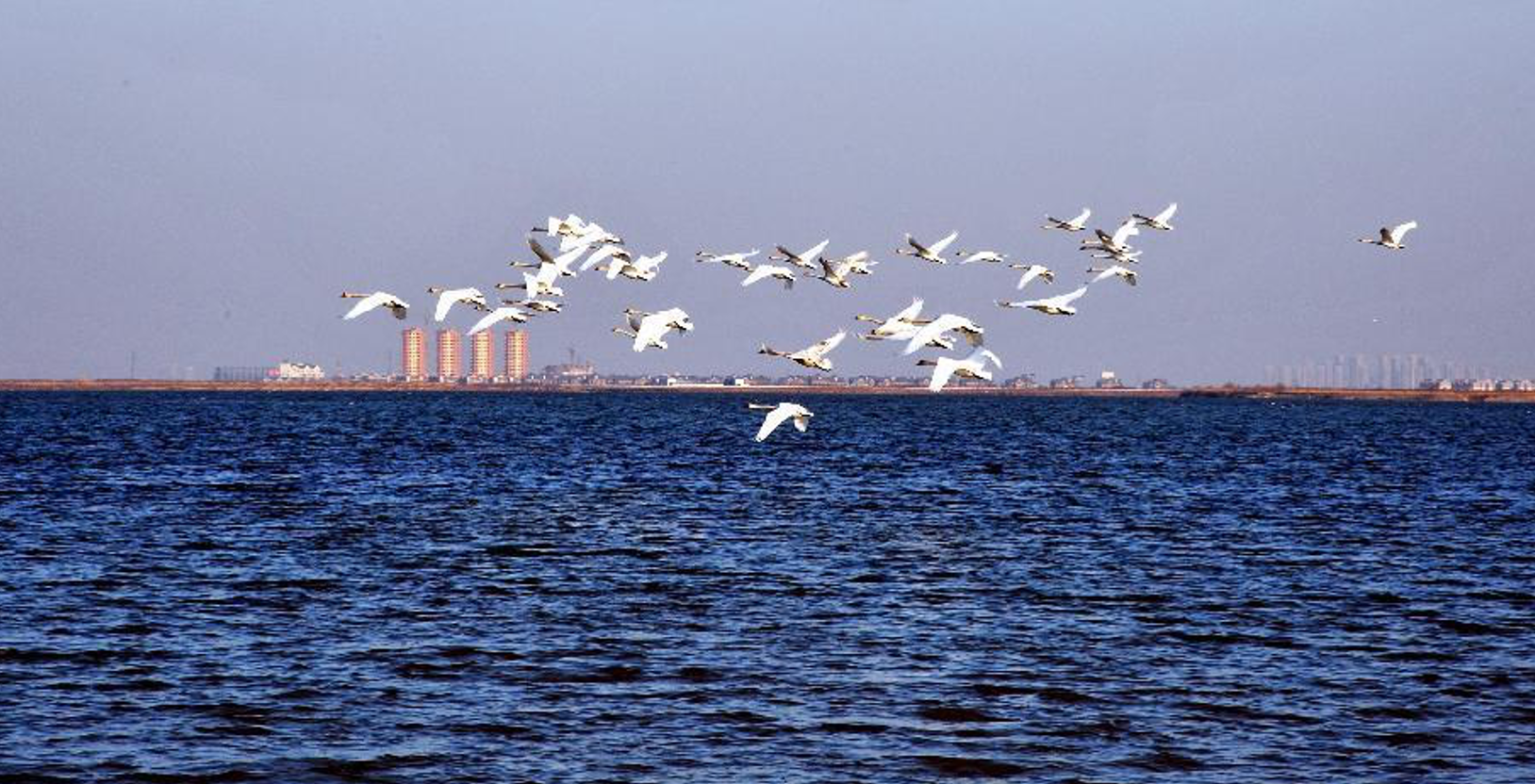 《天津市危险化学品企业安全治理规定》9月1日起施行