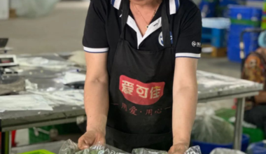 天津市武清区大孟庄镇后幼庄村走出乡村振兴产业新路