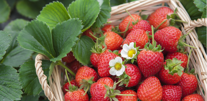 农产品批发市场、农贸市场有哪些税收优惠?