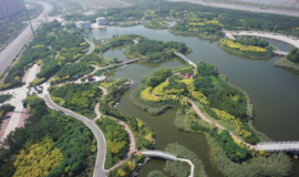  天津市违法占用湿地每平方米最高罚5000元