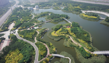  天津市违法占用湿地每平方米最高罚5000元