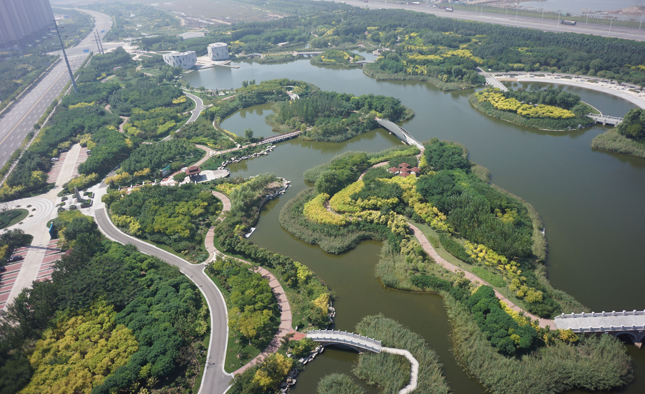 天津市违法占用湿地每平方米最高罚5000元