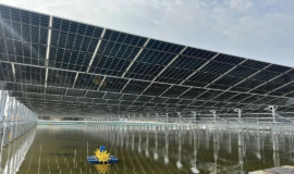 天津市渔光互补项目并网发电