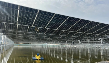 天津市渔光互补项目并网发电