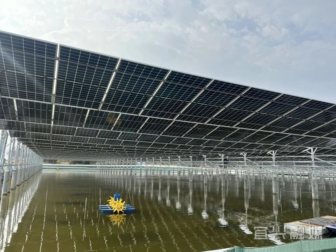 天津市渔光互补项目并网发电
