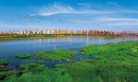 国新办表扬天津绿色低碳发展取得新成效