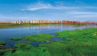 国新办表扬天津绿色低碳发展取得新成效