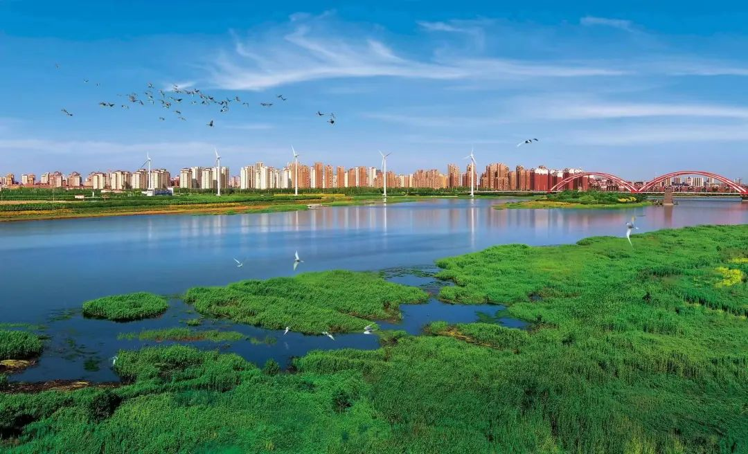 国新办表扬天津绿色低碳发展取得新成效