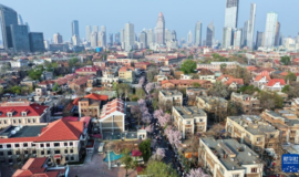 天津卫这个城市